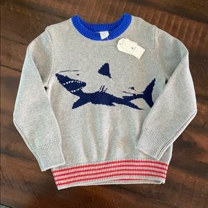 Boys GAP sweater